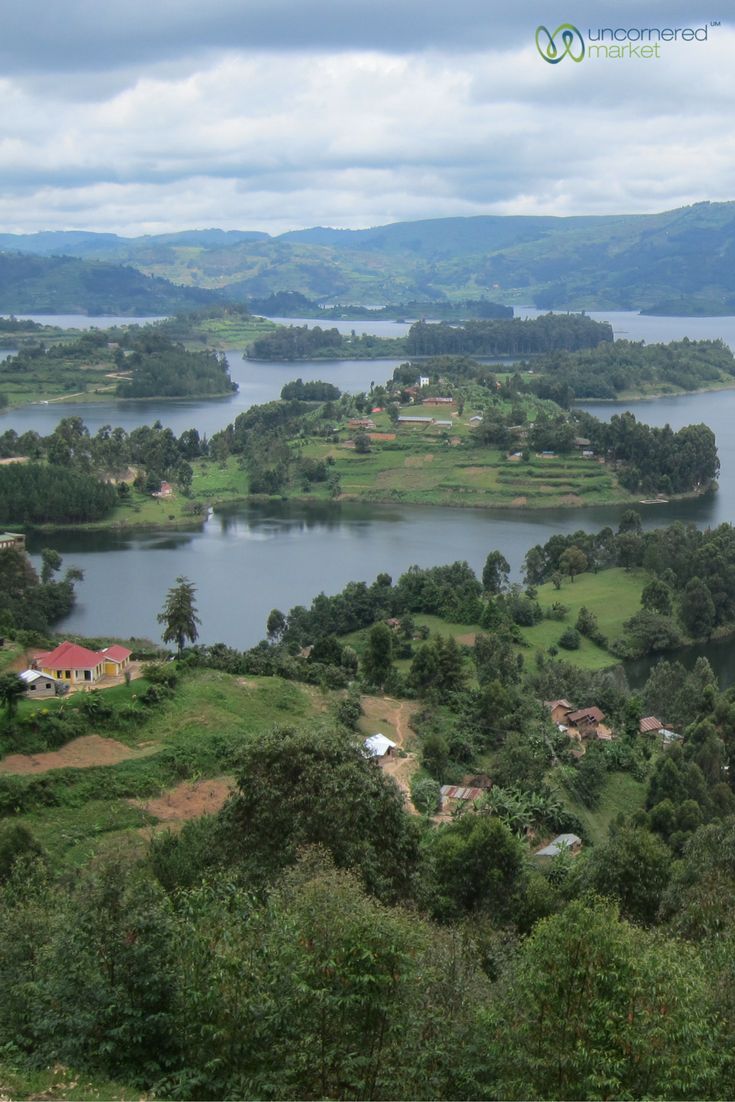 When to Visit: A Month-by-Month Analysis of Uganda’s Weather & Wildlife