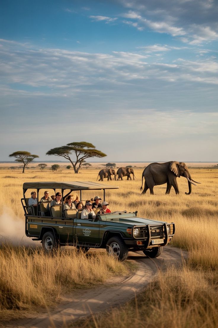 How We Increased Our Travel Booking Conversions by 70% with a Faster Website: An African Safari Success Story