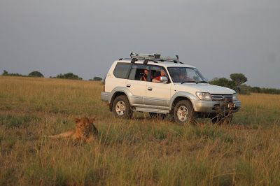 Self-Drive Safari in Uganda: Is it Safe and Possible? (2026 Honest Guide)