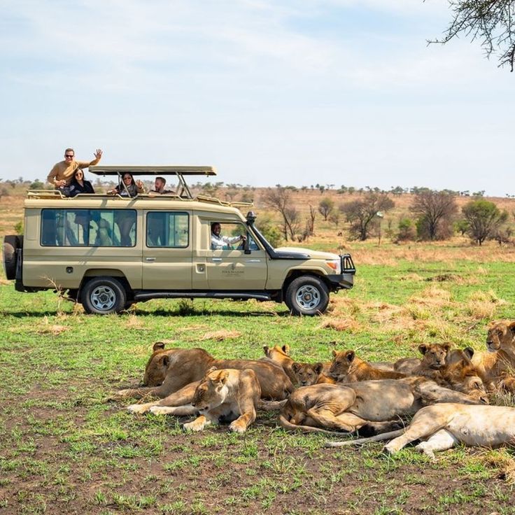 The Big Five and Beyond: Your Ultimate Guide to Uganda’s Wild Heart