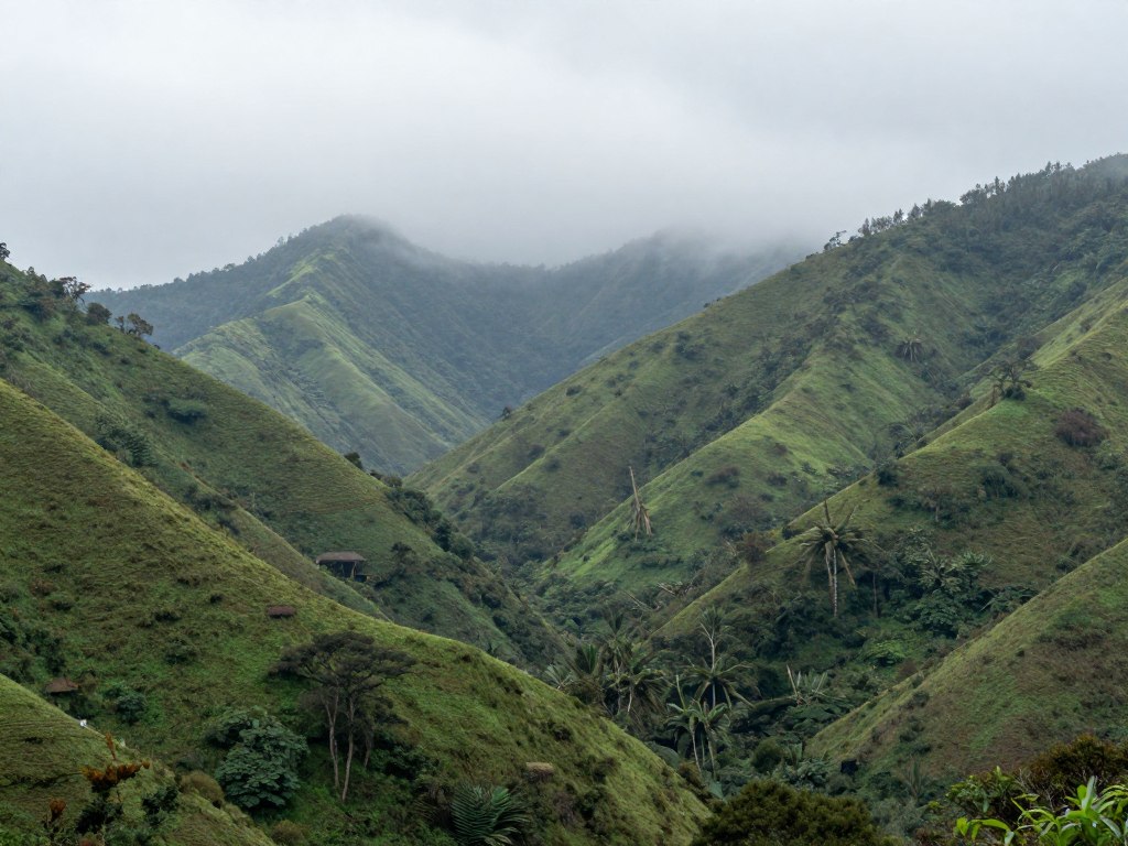 Mountain landscape near Bwindi Impenetrable National Park